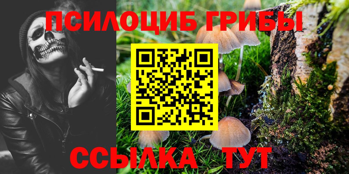Псилоцибиновые грибы Psilocybine cubensis Грязи
