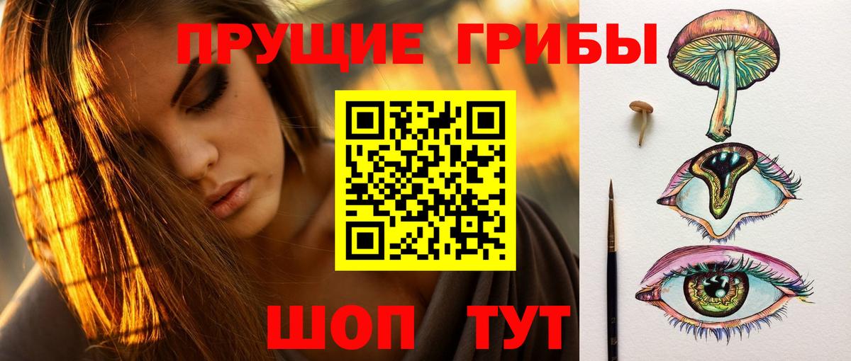 как найти закладки  Вход с VPN  Грязи  Галлюциногенные грибы Psilocybe  Галлюциногенные грибы Psilocybe 